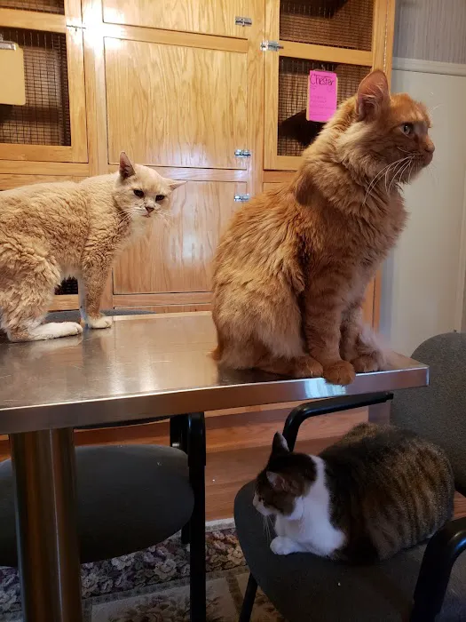Hambrick Animal Clinic 12