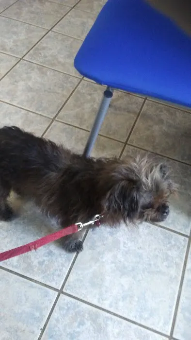 Crownover Animal Clinic 12