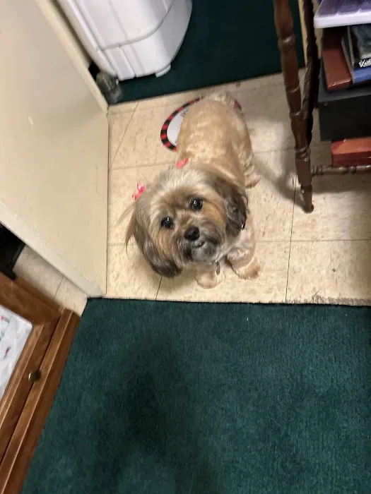 Crownover Animal Clinic 12