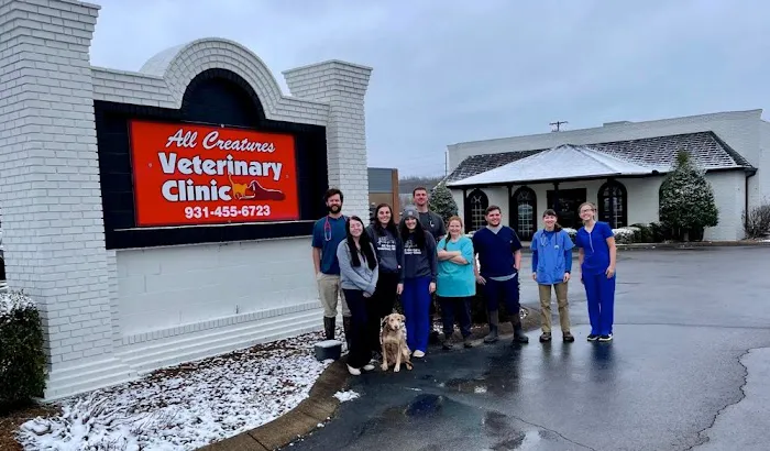 All Creatures Veterinary Clinic 12