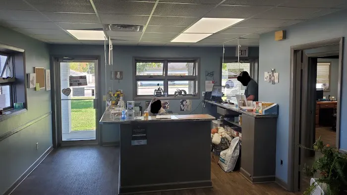 All Creatures Veterinary Clinic 12