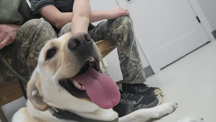All Creatures Veterinary Clinic 12