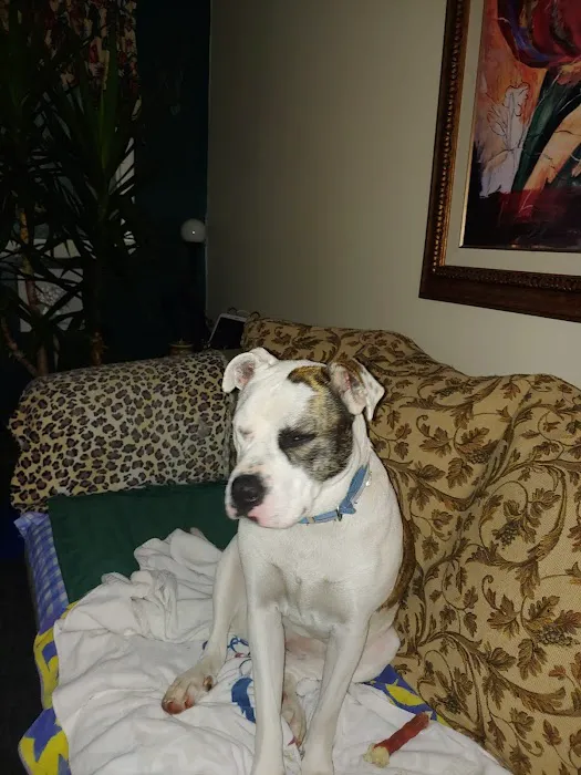 Hackett Animal Clinic 12