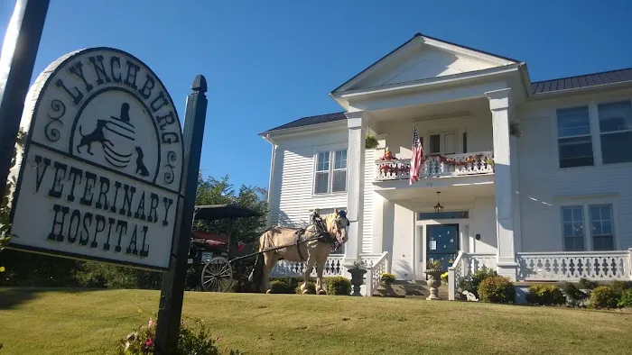 Lynchburg Veterinary Hospital 12