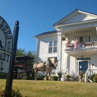 Lynchburg Veterinary Hospital ico