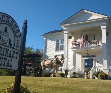 Lynchburg Veterinary Hospital