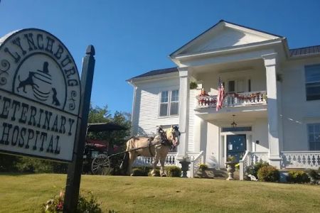 Lynchburg Veterinary Hospital