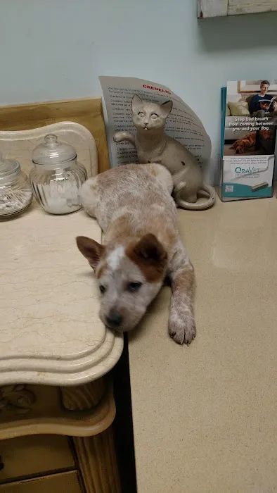 Lynchburg Veterinary Hospital 12