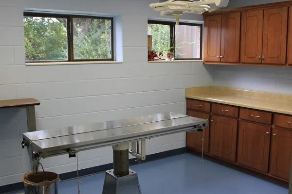 Animal Health Clinic 12