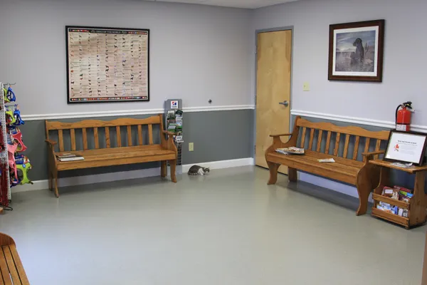 Animal Health Clinic 12
