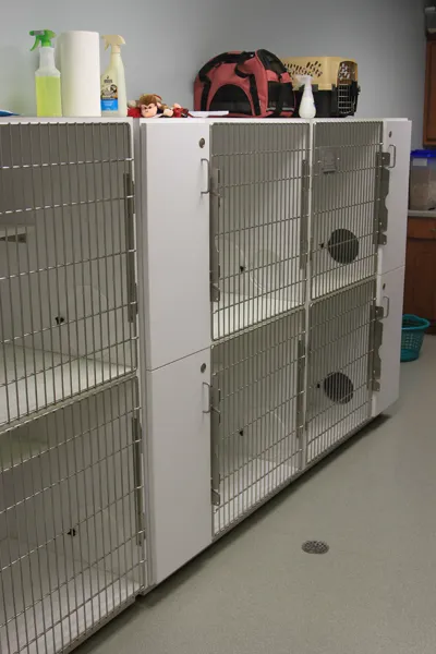 Animal Health Clinic 12