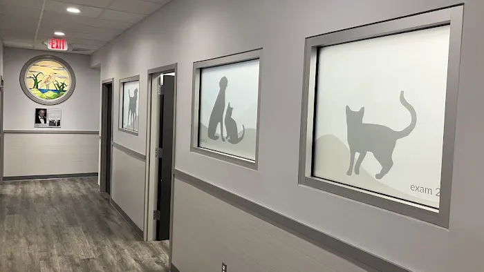 Hampton Cove Animal Hospital & Covepets 12
