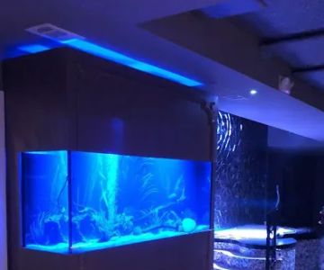 Aquarium Maintenance, LLC
