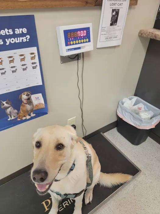 Linderman Animal Hospital 5