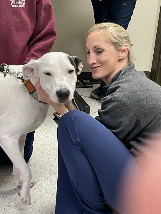 Linderman Animal Hospital 3