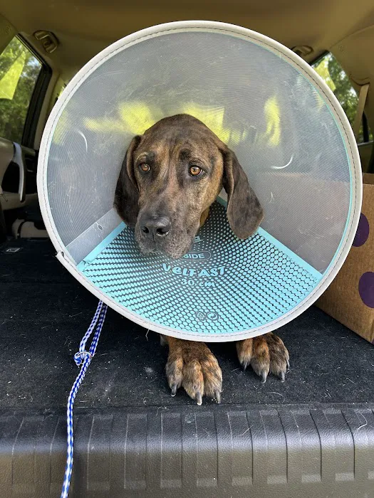 Linderman Animal Hospital 2