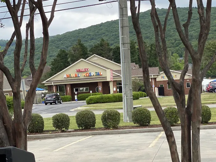 Valley Animal Hospital & Pet Resort 12