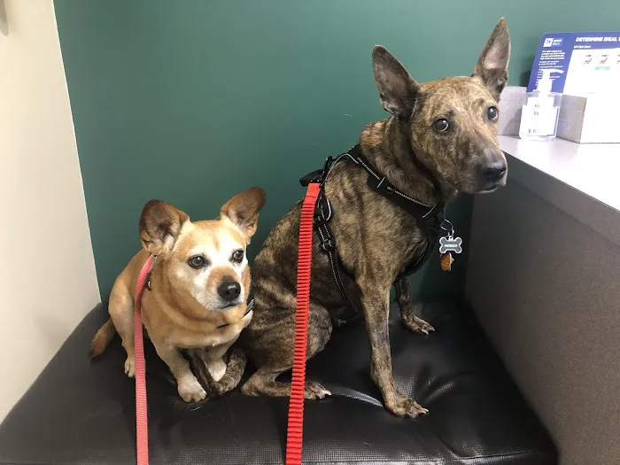 Valley Animal Hospital & Pet Resort 12