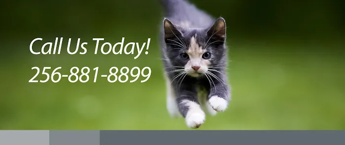 Valley Animal Hospital & Pet Resort 12