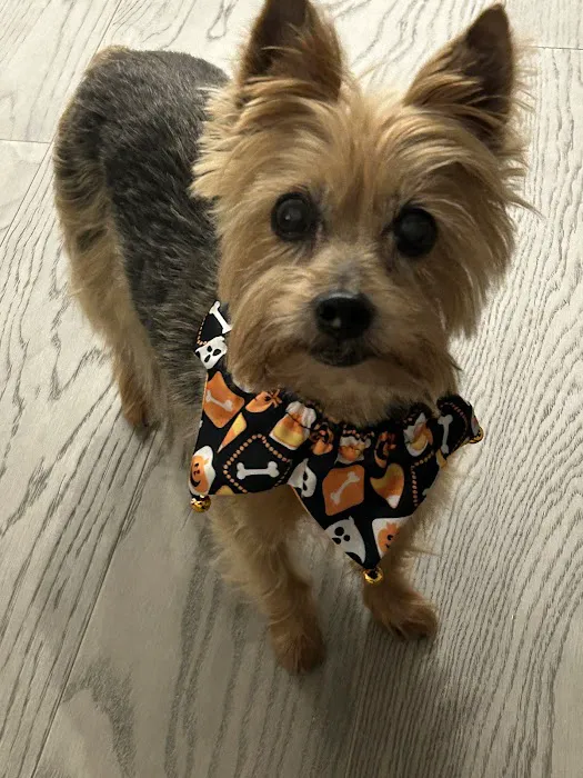 Valley Animal Hospital & Pet Resort 12