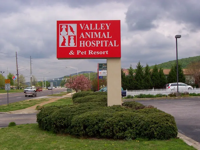 Valley Animal Hospital & Pet Resort 12