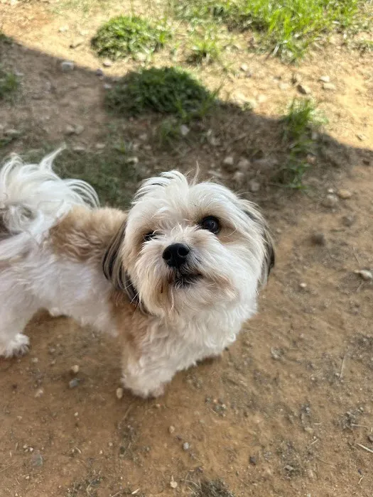 Valley Animal Hospital & Pet Resort 12