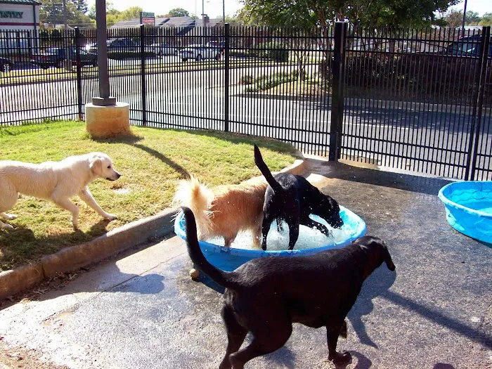 Valley Animal Hospital & Pet Resort 12