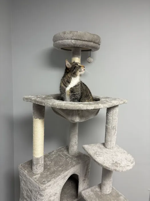 Valley Animal Hospital & Pet Resort 12