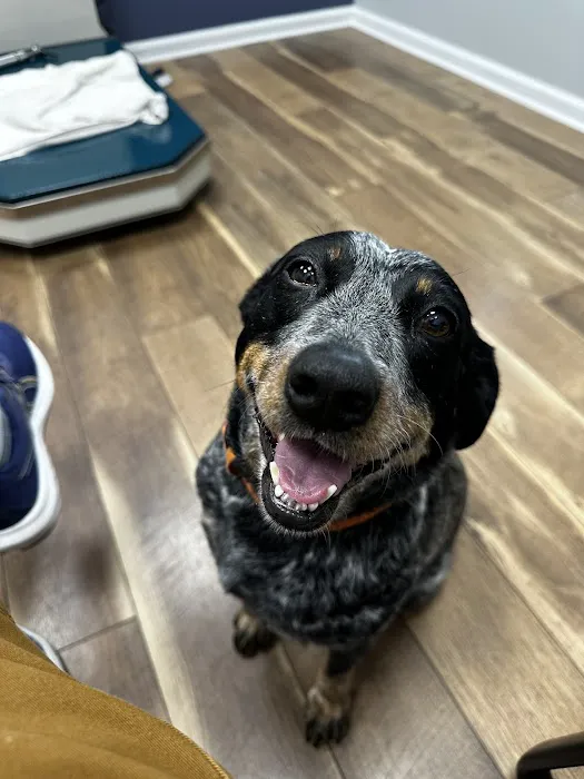 Valley Animal Hospital & Pet Resort 12