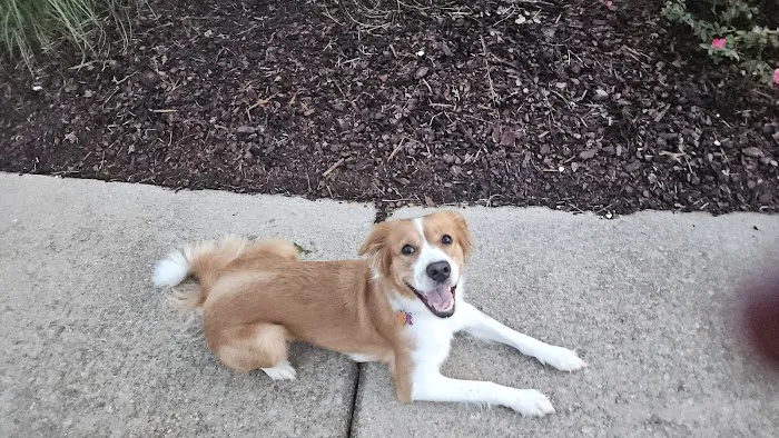 Banfield Pet Hospital 12