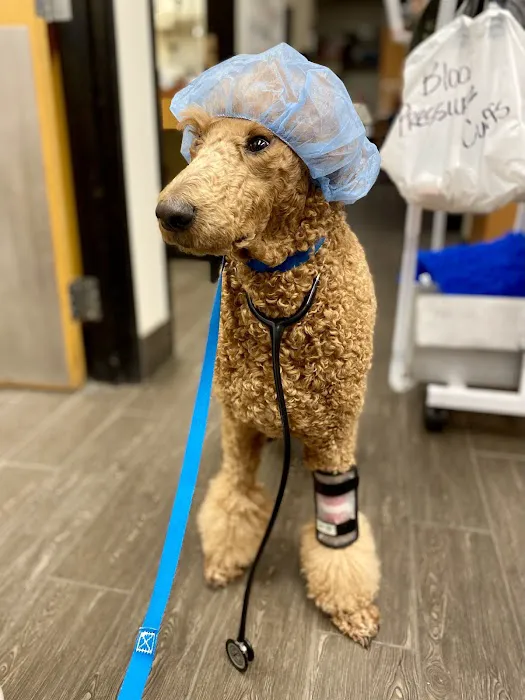 Banfield Pet Hospital 12