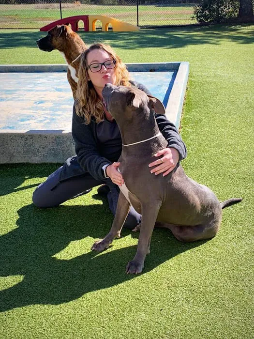 Chase Animal Hospital 12