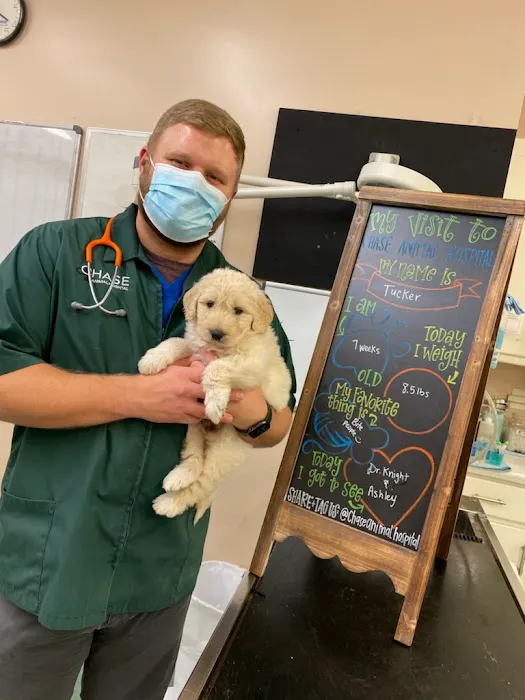 Chase Animal Hospital 12