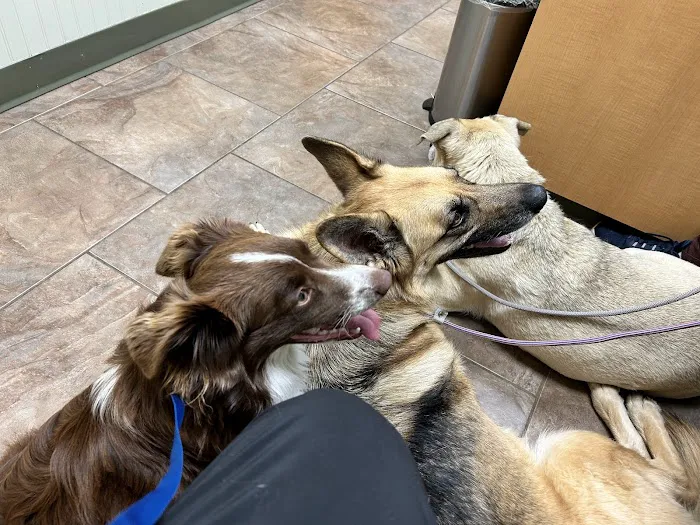 Flint River Animal Hospital 1