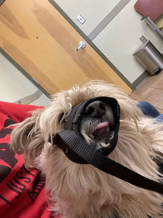 Flint River Animal Hospital 5