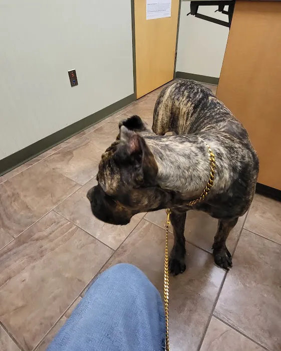 Flint River Animal Hospital 6
