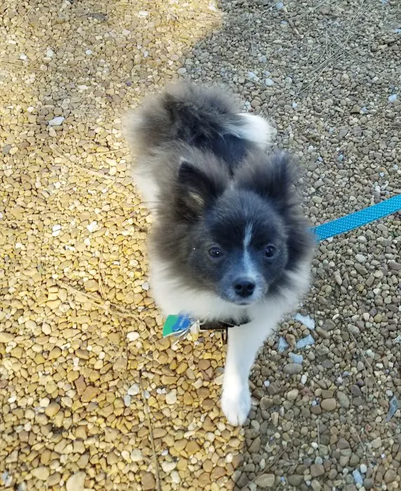 Flint River Animal Hospital 9