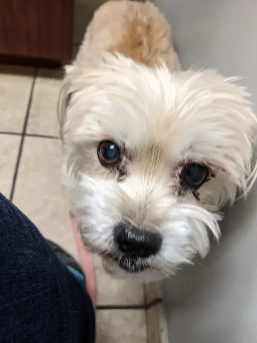 Winchester Road Animal Hospital 12