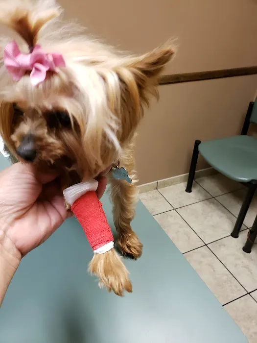 Winchester Road Animal Hospital 12