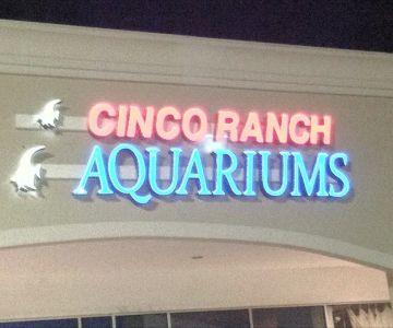 Cinco Ranch Aquariums