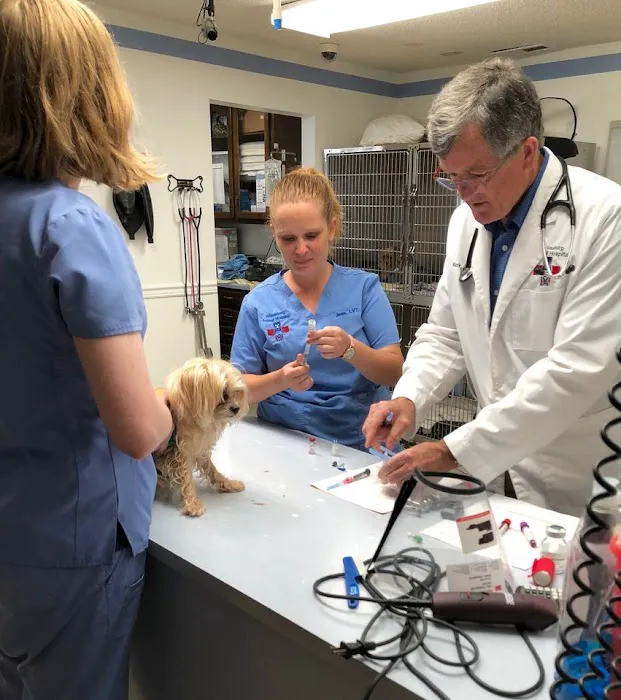 Whitesburg Animal Hospital 12