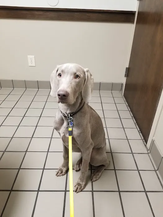 Whitesburg Animal Hospital 12