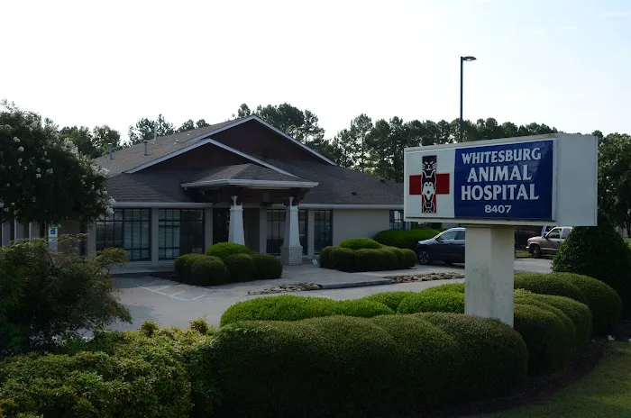 Whitesburg Animal Hospital 12