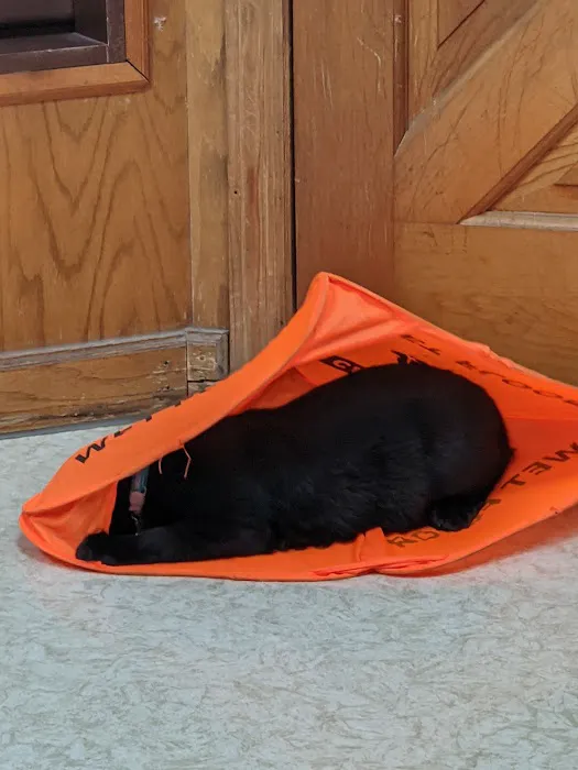 Aero City Animal Hospital 12