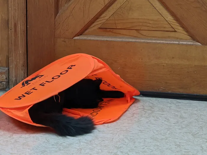 Aero City Animal Hospital 12