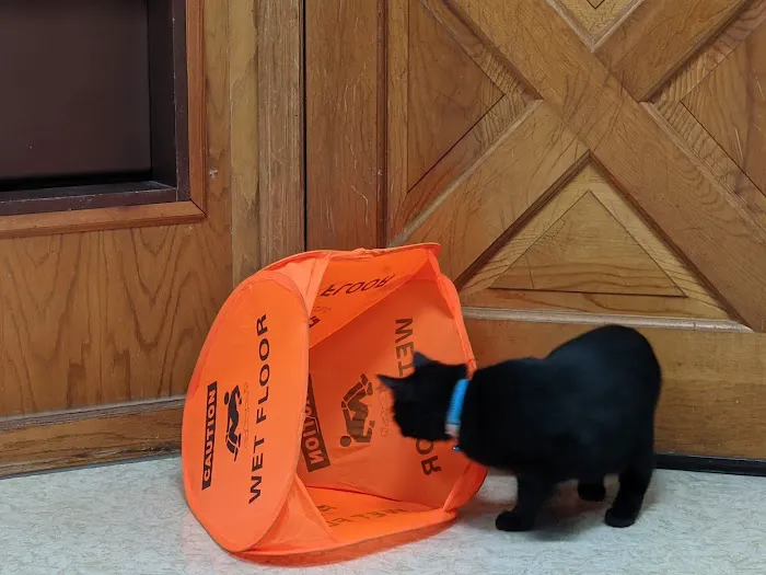 Aero City Animal Hospital 12
