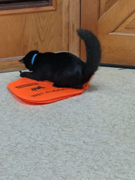 Aero City Animal Hospital 12