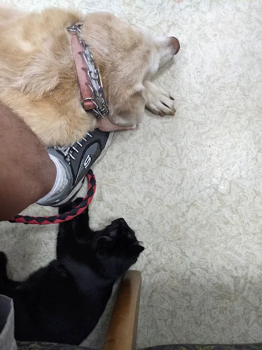 Aero City Animal Hospital 12