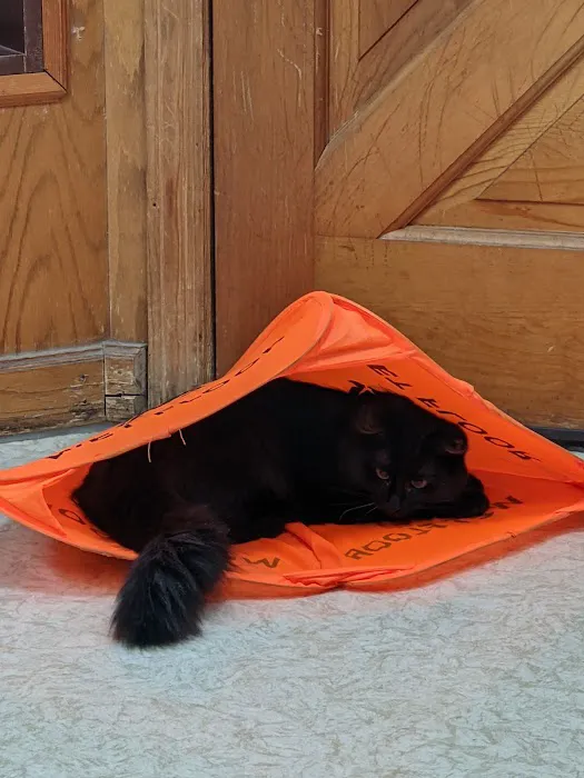 Aero City Animal Hospital 12