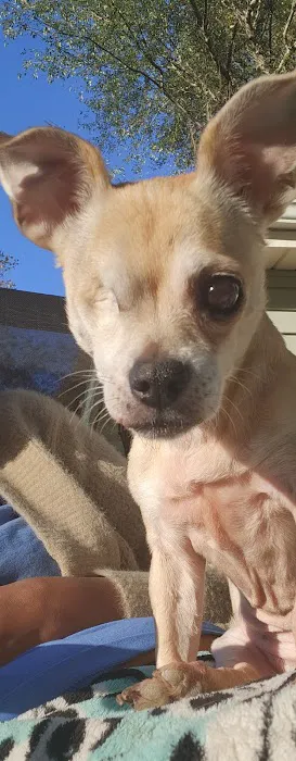 Animal Eye Center 4